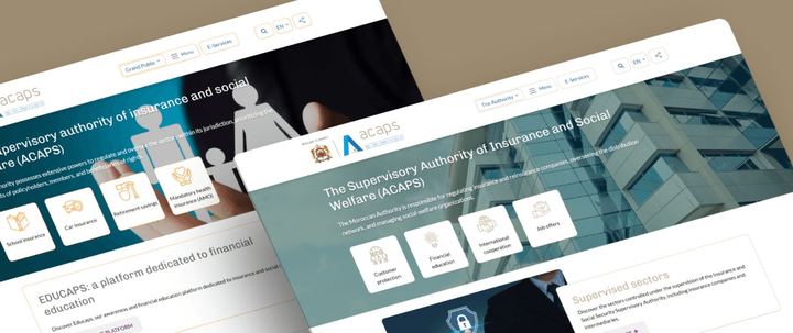 Screenshot of the site ACAPS