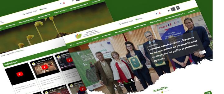 Screenshot of the site ADA