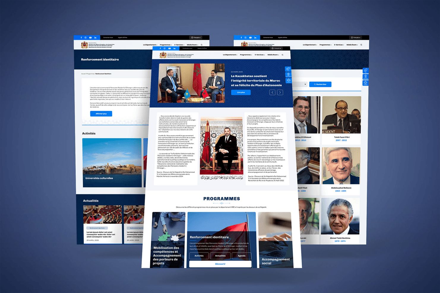 Screenshot of the site MRE, preview 2