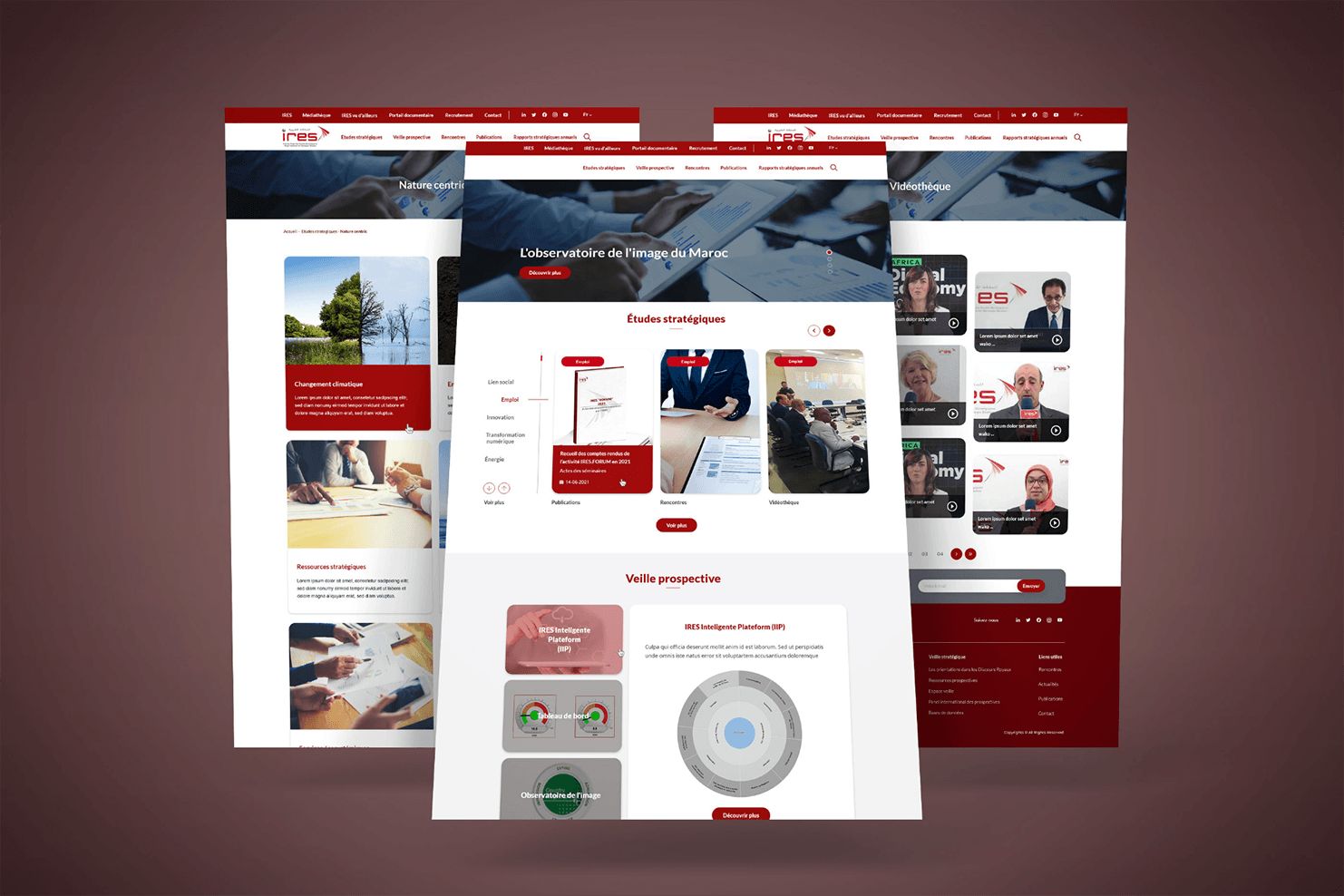 Screenshot of the site IRES, preview 2