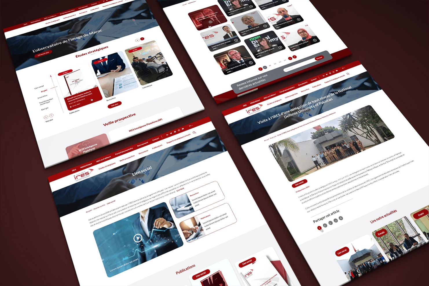 Screenshot of the site IRES, preview 3