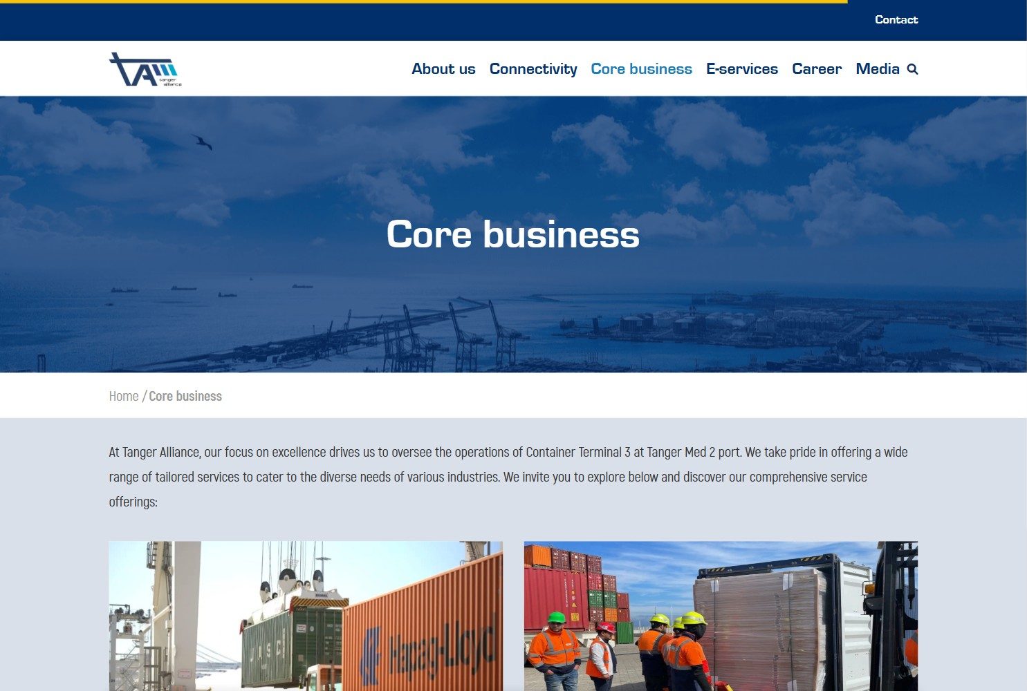 Screenshot of the site Tanger Alliance, preview 2
