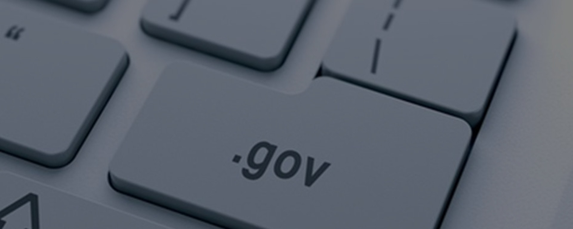 E-gov